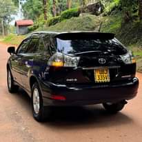 A picture of HARRIER KAWUNDO 2008