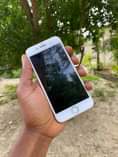 A picture of iPhone 8plain 64gb iOs 16 Bh 100 fingerprint Ipo 250