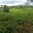 A picture of SHAMBA HEKA TANO LINAUZWA HALIJASAFISHWA LIPO MZENGA ZEGERO WILAYA YA