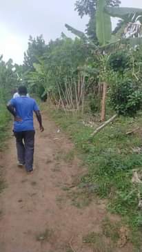 A picture of 3 acre for sale