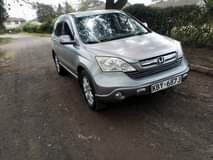 used honda crv