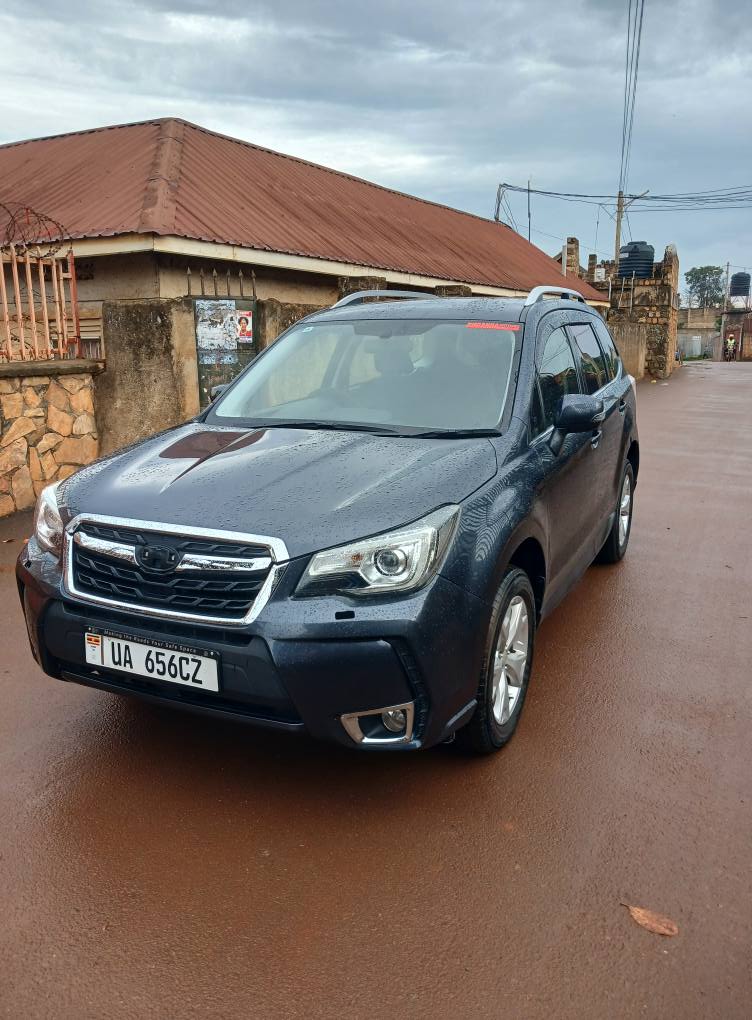 A picture of Forester 2016