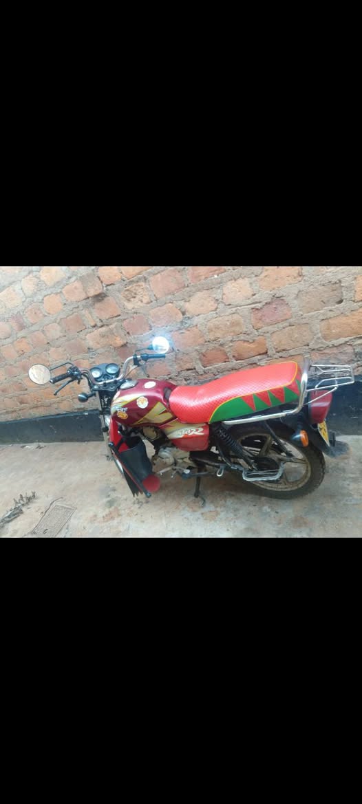 motorbikes