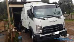 isuzu frr
