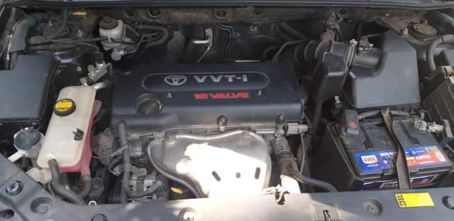toyota vanguard