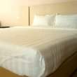 A picture of Egyptian cotton bedsheets