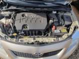 A picture of Belgium Toyota Corolla