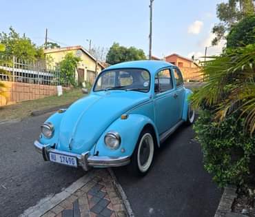 Kzn V.