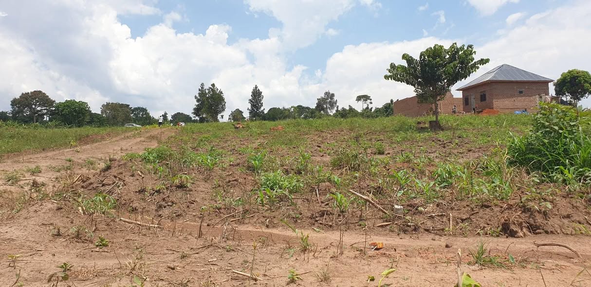 A picture of PLOTS FOR ON QUICK SALE
