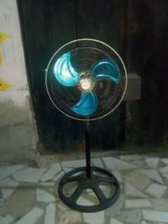 A picture of NAUZ FENI USED LOCATION DAR