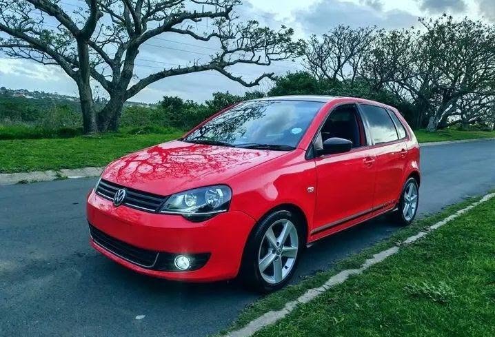 polo vivo