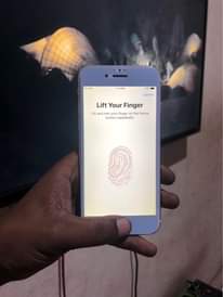 A picture of iPhone 6 plain