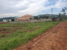 A picture of NEW SITE IN CITY NOW OPEN