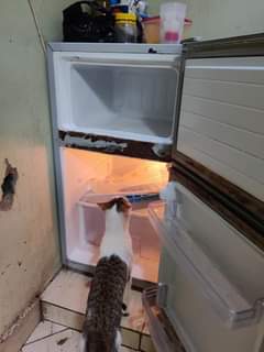 A picture of ADH fridge