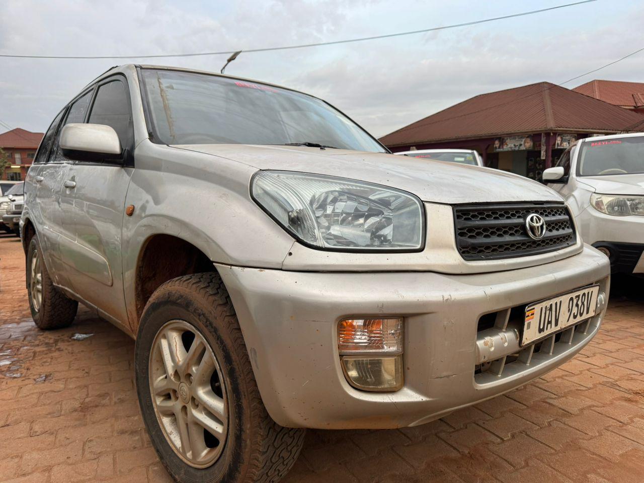 A picture of Rav 4