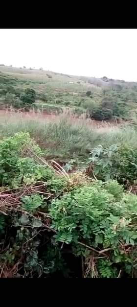 A picture of SHAMBA HEKA 10 ZA MTONI ZINAUZWA