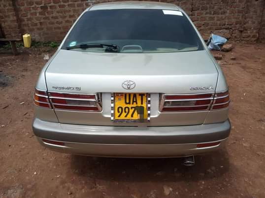 A picture of Cars for sale