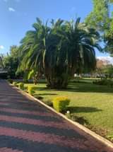 Property for Sale