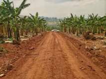 houses hoima