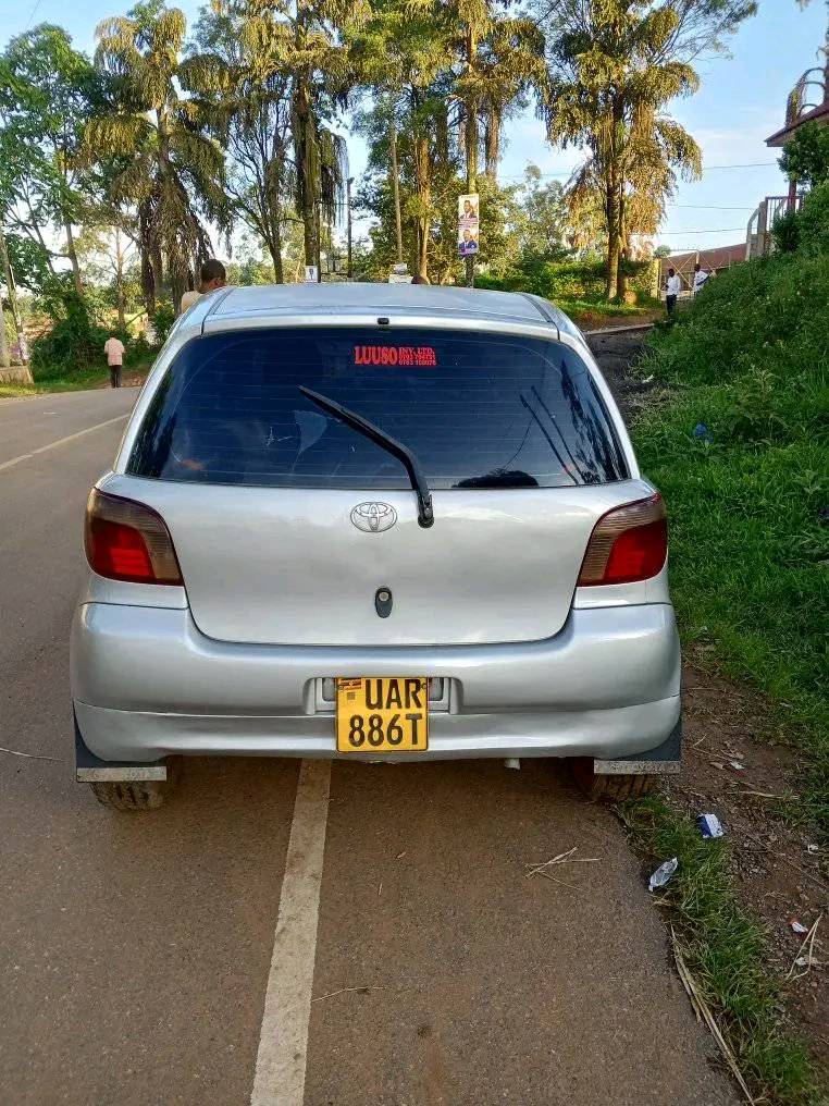 A picture of Vitz