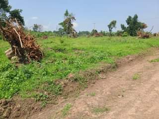 A picture of PLOTS OF LAND