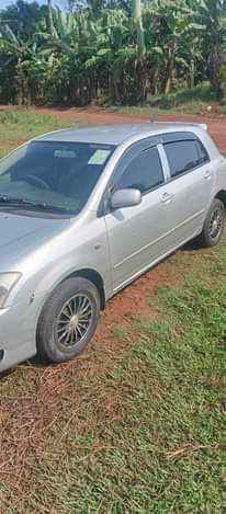 A picture of Allex at 2.5m good condition buy and drive call me