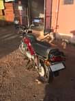 A picture of Selling my bike