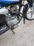 A picture of Tvs Haojue cc 125