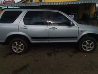 toyota regius