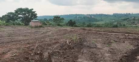 A picture of PLOTS FOR SALE LOCATED WAKISO NAMAYUMBA
