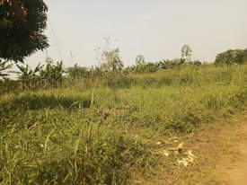 A picture of Quick sale 9m 100by100ft located at matugga kalasa along matugga