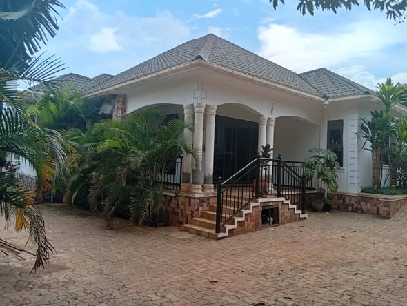 A picture of House for sale 3 bed s 14 decimal TITLE LAND