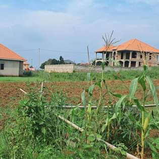 houses entebbe