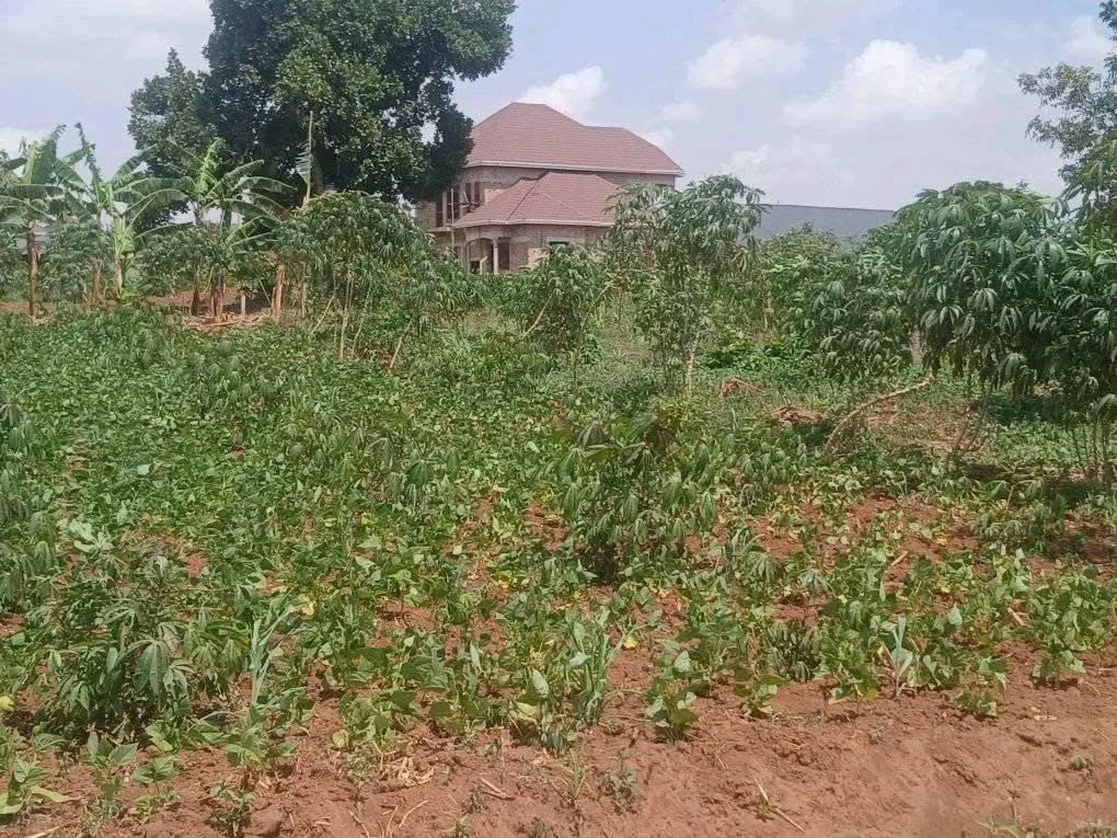 A picture of WAKISO NKOWE PLOTS AT 40 M UGX ONLY TITLED