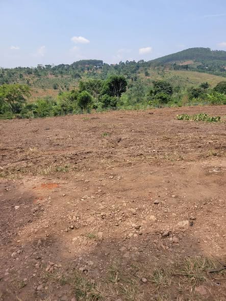 A picture of PLOTS AT 10M