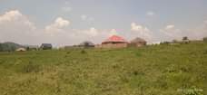 A picture of Kakiri Mwera Estate