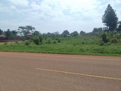 A picture of 100 by 100 ft plot for sale along mukono katosi