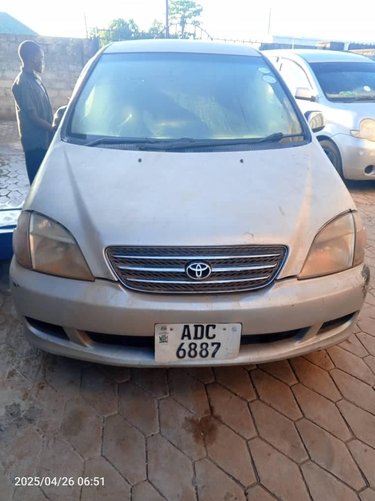 zed cars_under_50pin