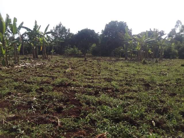 A picture of Land on sale