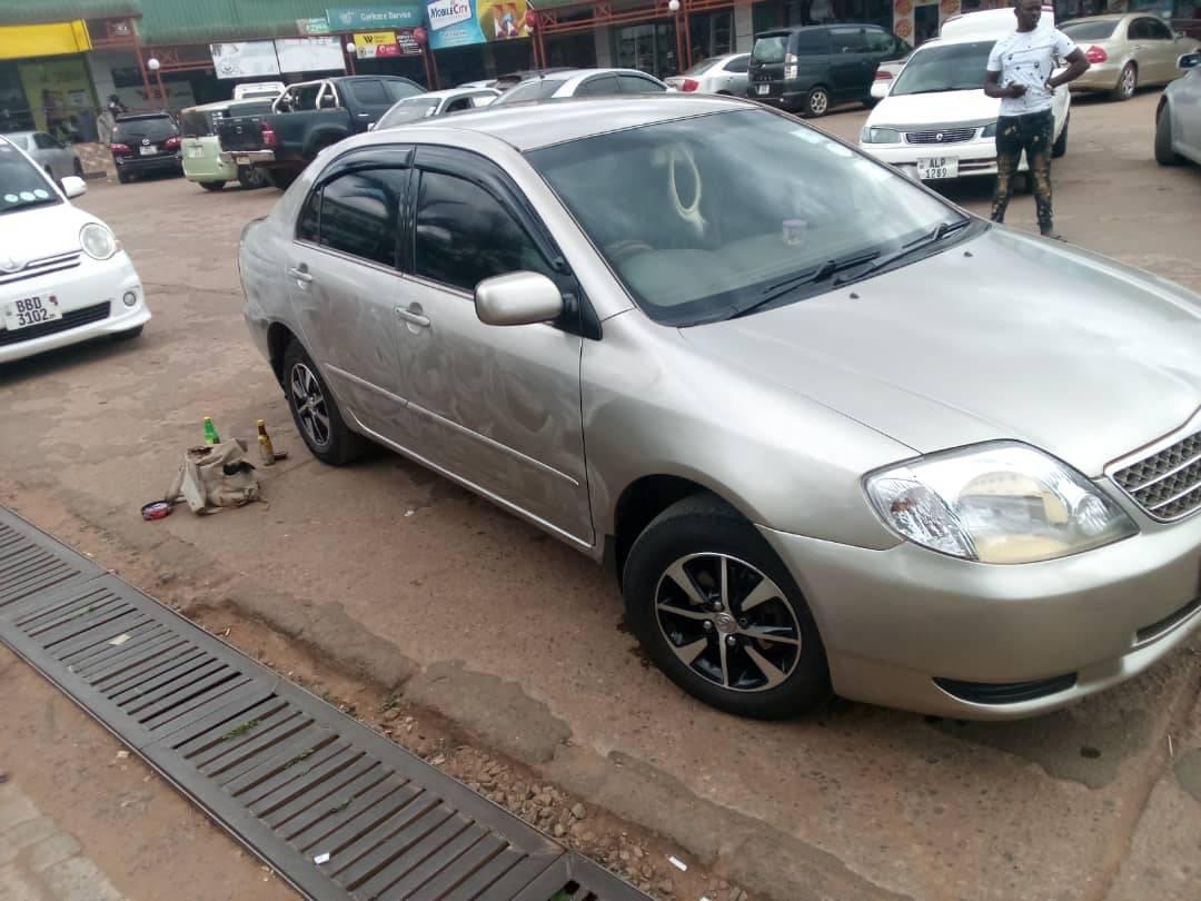 used toyota corolla