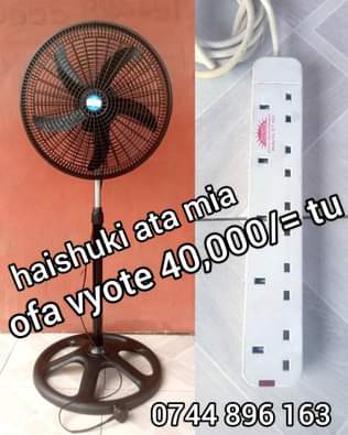 fans
