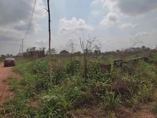 A picture of 200ft by 300ft fenced round for sale