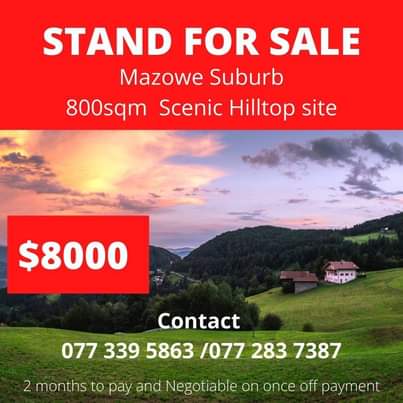 stands