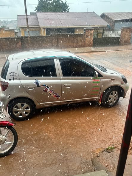 A picture of Vitz 8 8m