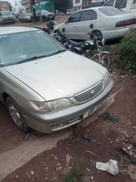 A picture of 13m 0707033900