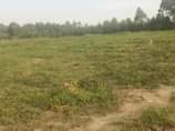 A picture of Get your own plot today 650k New site is open