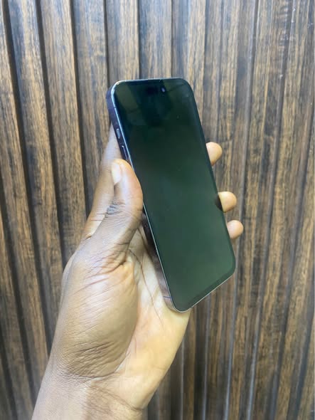 A picture of iPhone 14 Pro Max