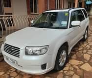 A picture of Subaru forester airbreak