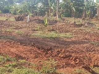 A picture of Land