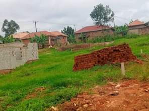 A picture of  MATUGGA TOWN SITE All installments allowed 25x40ft..................... 4M agreement